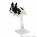 Nanoblock French Bulldog Pied Nbc-197- Japan Figure Store - #1 Bring To You The Best Japanese Goods