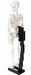 Nanoblock Human Skeleton Nbm014- Japan Figure Store - #1 Bring To You The Best Japanese Goods