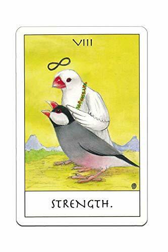 Nichiyu Bird Tarot Card T0556 Toy Rider Weight Smith Version- Japan Figure Store - #1 Bring To You The Best Japanese Goods