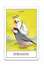 Nichiyu Bird Tarot Card T0556 Toy Rider Weight Smith Version- Japan Figure Store - #1 Bring To You The Best Japanese Goods