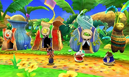 Nintendo 3Ds Ever Oasis Seirei To Tanebito No Mirage - Used Japan Figure 4902370536911 10