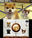 Nintendo Nintendogs Cats Toy Poodle And New Friends 3Ds Used
