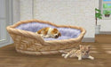 Nintendo Nintendogs Cats Toy Poodle And New Friends 3Ds Used