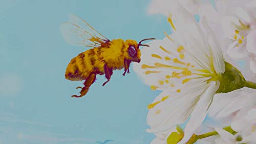 Oizumi Amuzio Bee Simulator Nintendo Switch - New Japan Figure 4571331332710 1