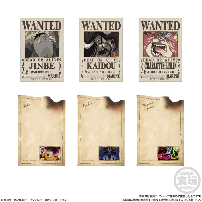 Bandai One Piece Character Magnets 14pcs Box- Japan Figure Store - #1 Bring To You The Best Japanese Goods