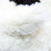 NAKAJIMA CORPORATION Plush Doll Hug Hug Snoopy S Mocha Tjn- Japan Figure Store - #1 Bring To You The Best Japanese Goods