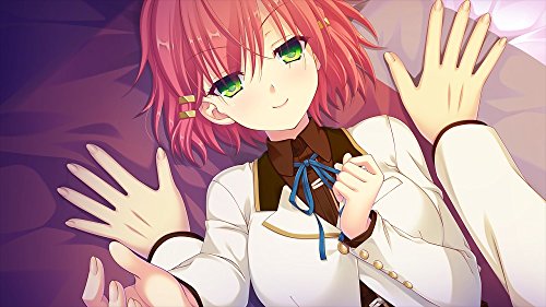 Piacci Amenity'S Life Ps Vita Sony Playstation New