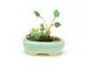 PLATZ Bonn04 The Bonsai Kobanbachi Planting Light Blue 1/12 Scale Finished Model- Japan Figure Store - #1 Bring To You The Best Japanese Goods
