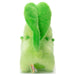 Pokemon Pokemon I Decided On You! Pokemon Get Plush Chikorita Width Approx. 17Cm- Japan Figure Store - #1 Bring To You The Best Japanese Goods