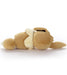 Pokemon Sleeping Friend Plush Toy Takara Tomy Arts Japan Eevee 28Cm- Japan Figure Store - #1 Bring To You The Best Japanese Goods