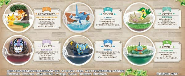 Pokemon Terrarium Collection 12 6 Box- Japan Figure Store - #1 Bring To You The Best Japanese Goods