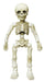 Re-Ment Pose Skeleton Human 2 Child Japan- Japan Figure Store - #1 Bring To You The Best Japanese Goods