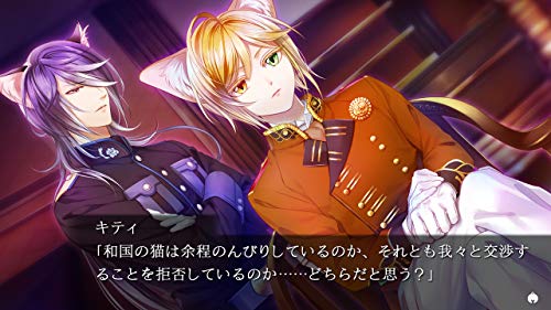 Prototype Gunka O Haita Neko Nintendo Switch - New Japan Figure 4580206270941 5