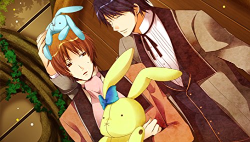 Quinrose Okashi Na Shima No Peter Pan ~Sweet Never Land~ Psvita - Used Japan Figure 4560231121708 5