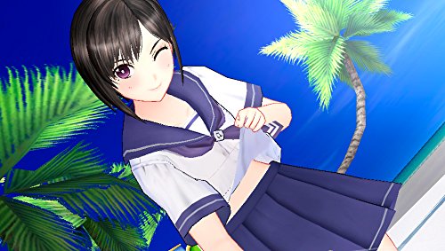 Reco Love Blue Ocean Sony Ps Vita - New Japan Figure 4582350661279 5