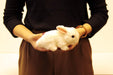 Yoshitoku Riku No Nakama Stuffed Dolls Rabbit White 180497 Japanese Rabbit Dolls- Japan Figure Store - #1 Bring To You The Best Japanese Goods