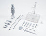S.h.figuarts Body Chan Kentaro Yabuki Edition Dx Set Gray Color Ver Bandai- Japan Figure Store - #1 Bring To You The Best Japanese Goods