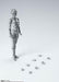 S.h.figuarts Body-chan -wire Frame- Gray Color Ver. Figure- Japan Figure Store - #1 Bring To You The Best Japanese Goods
