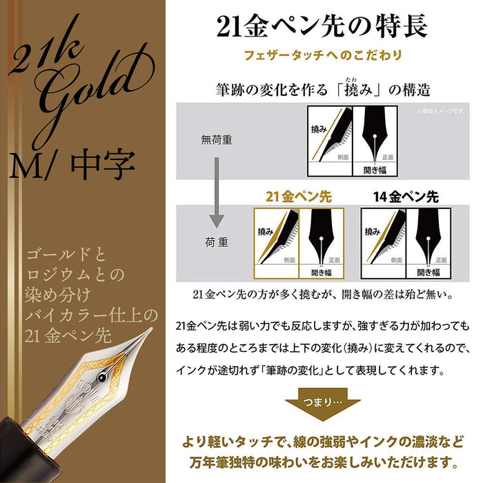 SAILOR Professional Gear Silver Fountain Pen Black M 11-2037-420- Japan Figure Store - #1 Bring To You The Best Japanese Goods
