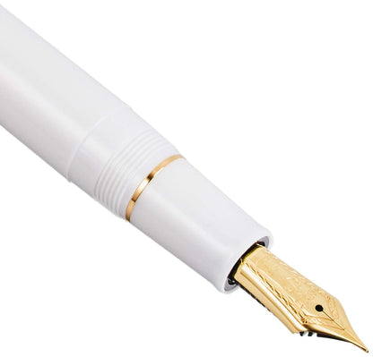 SAILOR Profit 21 Fountain Pen We Mf 11-2021-310- Japan Figure Store - #1 Bring To You The Best Japanese Goods