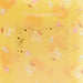 SANRIO Photo Album L Size Pom Pom Purin Enjoy Idol- Japan Figure Store - #1 Bring To You The Best Japanese Goods