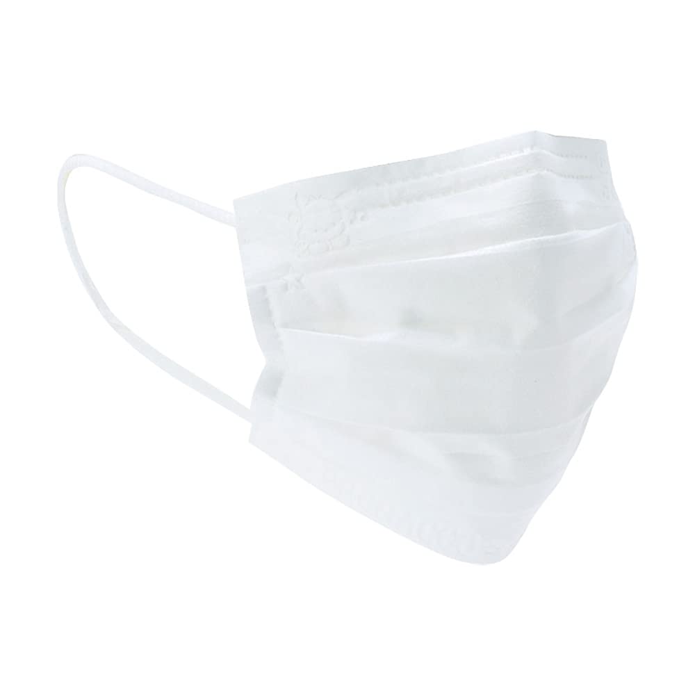 SANRIO - Pochacco Mask - 30 Pcs- Japan Figure Store - #1 Bring To You The Best Japanese Goods