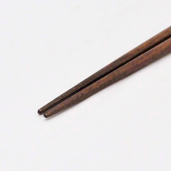 Skater 21cm My Neighbor Totoro Green Studio Ghibli Chopsticks Ann4Sq-A- Japan Figure Store - #1 Bring To You The Best Japanese Goods