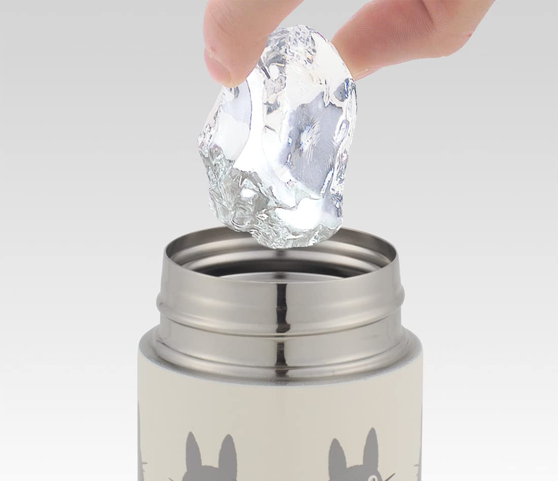 SKATER Portable Stainless Steel Water Bottle My Neighbor Totoro- Japan Figure Store - #1 Bring To You The Best Japanese Goods