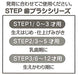 SKATER Clear Soft Toothbrush Set 3 Pcs For Kindergarten Kids Tomica- Japan Figure Store - #1 Bring To You The Best Japanese Goods