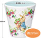 Skater Japan Peter Rabbit Melamine Tumbler Cup 270Ml Mtb2-A- Japan Figure Store - #1 Bring To You The Best Japanese Goods