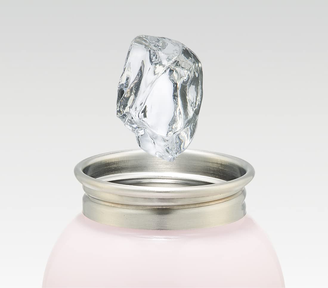 Skater 380ml Disney Princess Steel Bottle SSSC4-A- Japan Figure Store - #1 Bring To You The Best Japanese Goods