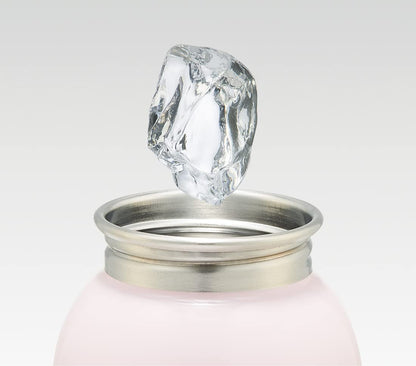 Skater 380ml Disney Princess Steel Bottle SSSC4-A- Japan Figure Store - #1 Bring To You The Best Japanese Goods