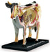 AOSHIMA 78198 4D Vision No.3 Cow Anatomy Model Non-Scale Kit- Japan Figure Store - #1 Bring To You The Best Japanese Goods