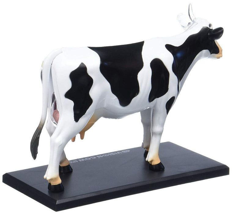 AOSHIMA 78198 4D Vision No.3 Cow Anatomy Model Non-Scale Kit- Japan Figure Store - #1 Bring To You The Best Japanese Goods