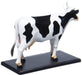AOSHIMA 78198 4D Vision No.3 Cow Anatomy Model Non-Scale Kit- Japan Figure Store - #1 Bring To You The Best Japanese Goods