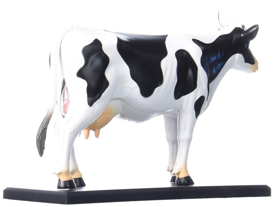 AOSHIMA 78198 4D Vision No.3 Cow Anatomy Model Non-Scale Kit- Japan Figure Store - #1 Bring To You The Best Japanese Goods