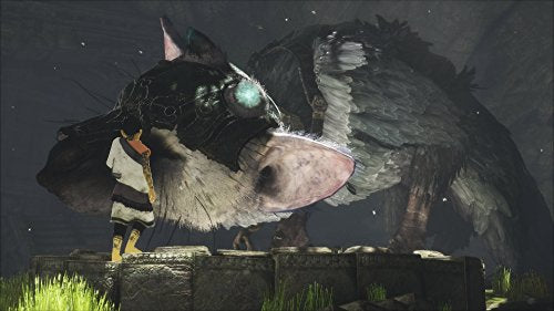 Sony The Last Guardian [Firstpress Limited Edition] Ps4 Sony Playstation - Used Japan Figure 4948872320160 7