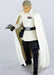 Star Wars Black Series 6 Inch Krennic Figure Takara Tomy F/s- Japan Figure Store - #1 Bring To You The Best Japanese Goods