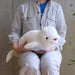Sun Lemon Hizhiroruka M P-8562- Japan Figure Store - #1 Bring To You The Best Japanese Goods