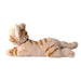 SUNLEMON Plush Doll Knee Cat Ss Brown- Japan Figure Store - #1 Bring To You The Best Japanese Goods