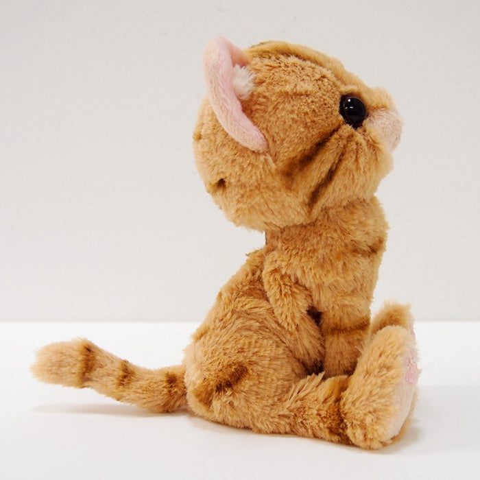 SUNLEMON Plush Doll Kitten American Shorthair Brown Size S Tjn- Japan Figure Store - #1 Bring To You The Best Japanese Goods