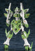 Kotobukiya Super Robot Wars Og Original Generations Raft Clans Faunea Plastic Model 185Mm Japan- Japan Figure Store - #1 Bring To You The Best Japanese Goods