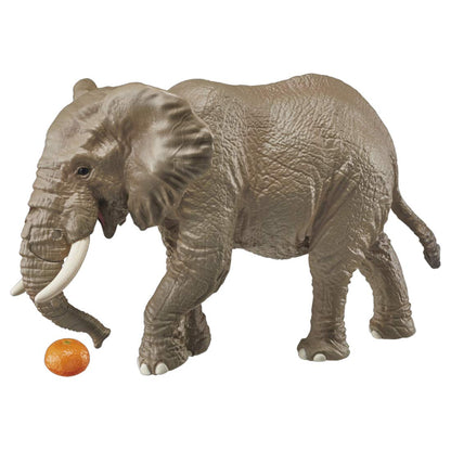 TAKARA TOMY As-02 Animal Adventure African Elephant With Orange Figure- Japan Figure Store - #1 Bring To You The Best Japanese Goods