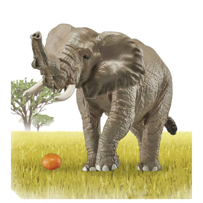 TAKARA TOMY As-02 Animal Adventure African Elephant With Orange Figure- Japan Figure Store - #1 Bring To You The Best Japanese Goods