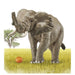 TAKARA TOMY As-02 Animal Adventure African Elephant With Orange Figure- Japan Figure Store - #1 Bring To You The Best Japanese Goods