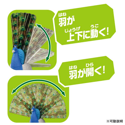 Takara Tomy Ania AS-16 Indian Peacock Dinosaur Toy for Kids Ages 3+- Japan Figure Store - #1 Bring To You The Best Japanese Goods