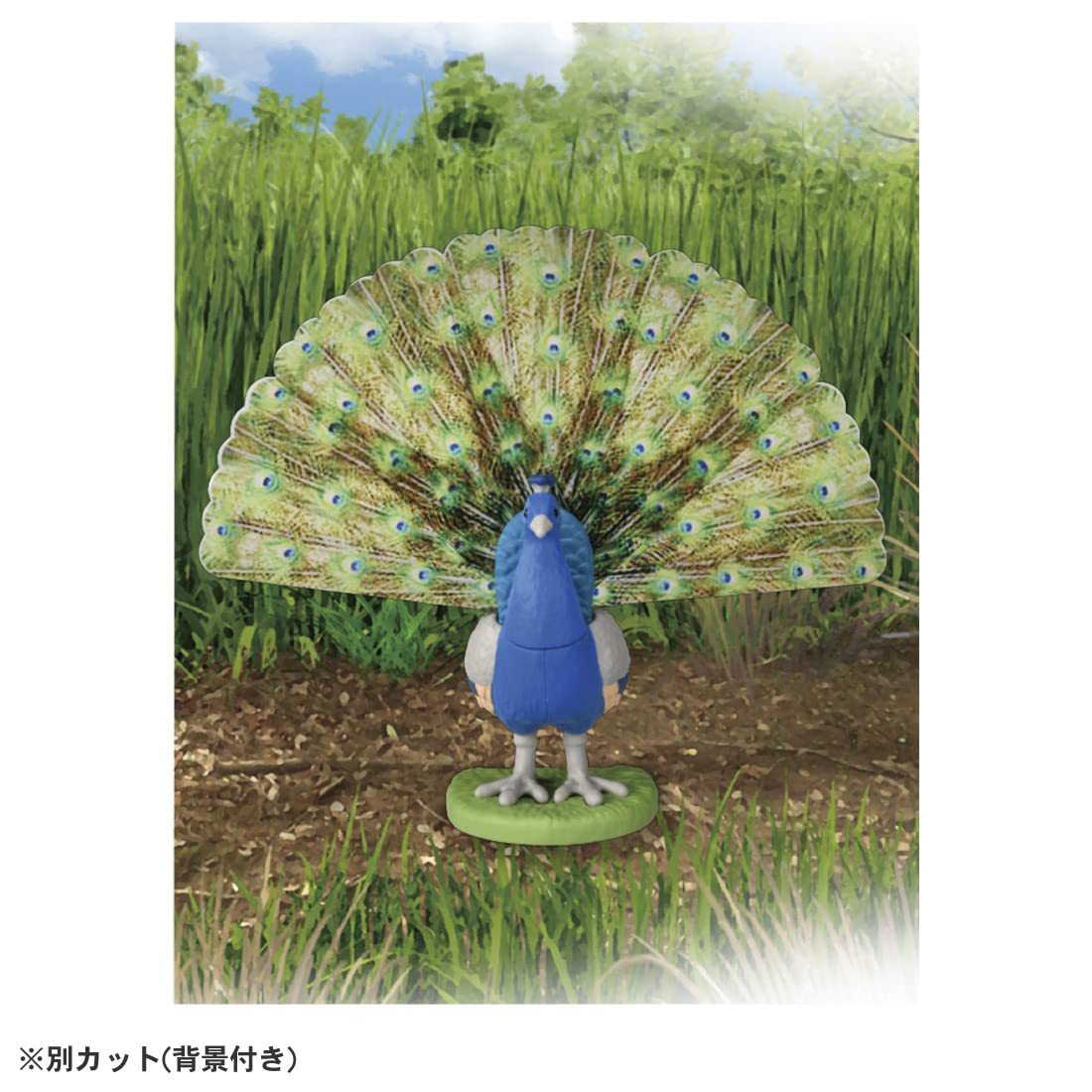 Takara Tomy Ania AS-16 Indian Peacock Dinosaur Toy for Kids Ages 3+- Japan Figure Store - #1 Bring To You The Best Japanese Goods
