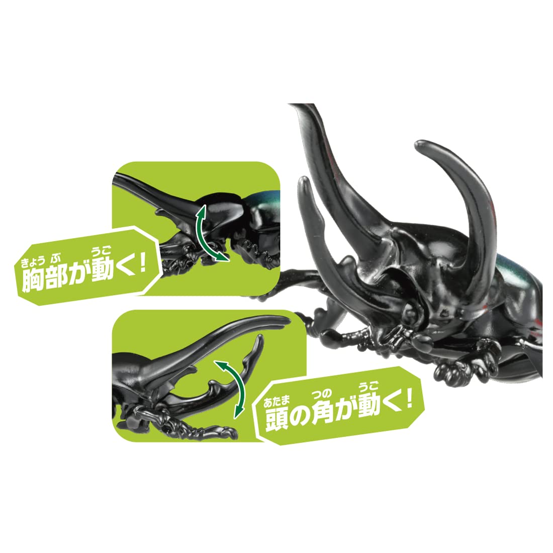 Takara Tomy Ania AS-39 Caucasus Beetle Toy for Kids Over 3 Years Old- Japan Figure Store - #1 Bring To You The Best Japanese Goods