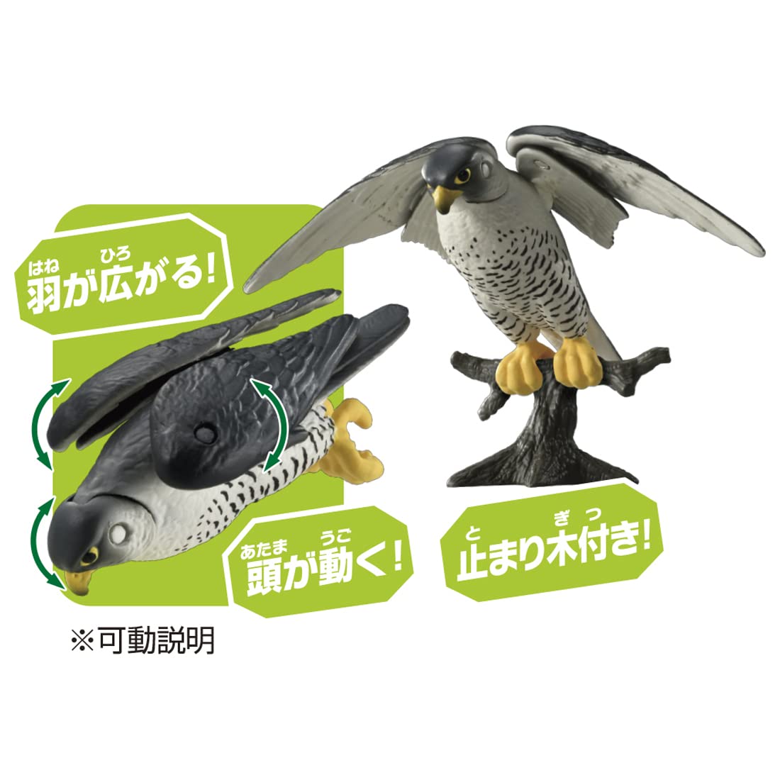 Takara Tomy Ania As-44 Falcon Animal Dinosaur Toy Japan Age 3+- Japan Figure Store - #1 Bring To You The Best Japanese Goods