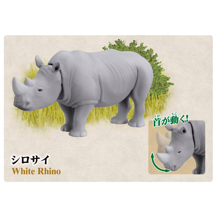 Takara Tomy Ania 10Th Anniversary Memorial Set Japan Animal Dinosaur Figure Toy Ages 3+ St Mark Certified- Japan Figure Store - #1 Bring To You The Best Japanese Goods